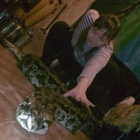 Полина Жадова