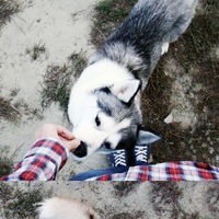 Даша Савельева | 