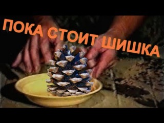 Зелёный слоник - Пока стоит шишка