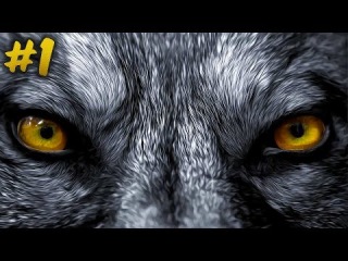 HUFF AND PUFF - Wolf Among Us - Episode 4 - Part 1