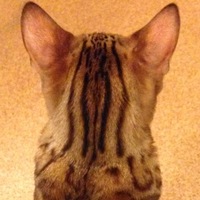 Ирина Иссерлис