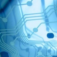 Денис Рыбачук