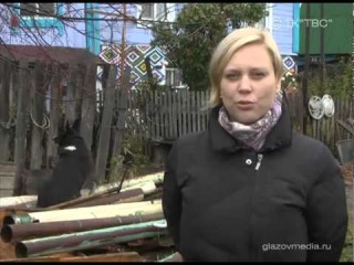 Бешенство в Глазовском районе (2 октября 2014)