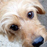 andrejd4@rambler.ru Докурно