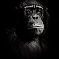 Алексей Иванов