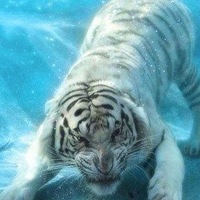 Артур Шевцов | Владивосток