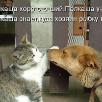 Анимация С днем Рождения для Мужчин - С Днем Рождения «Кинотавр-2017 как звезды проводят время вне премьер и