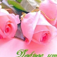 Рита Григорьева | 