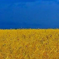 Наталья Беленко