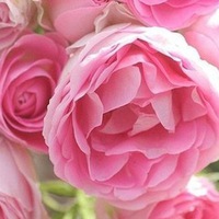 Кира Корсак