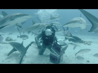 GoPro: Shark Feeding with Andy Casagrande in 2.7K 3D