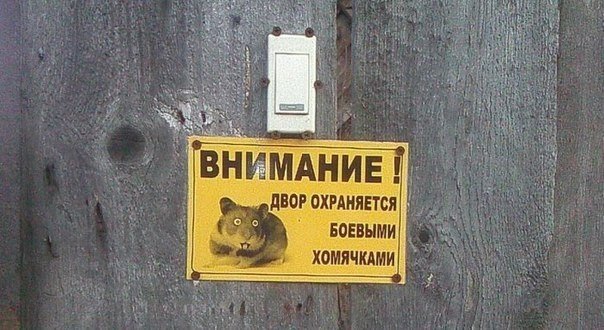 https://pp.userapi.com/c619318/v619318443/f43b/USZdwUx0I7I.jpg