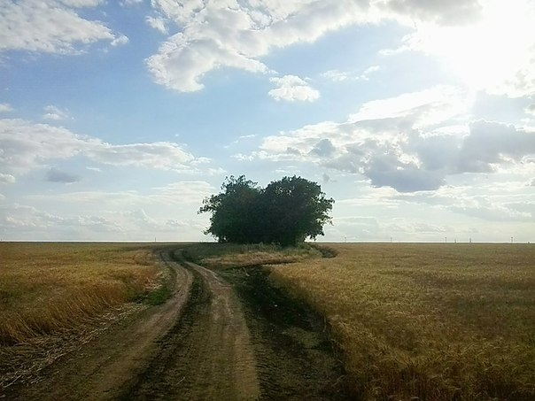 https://pp.userapi.com/c619323/v619323792/cbbc/INoBsuaCcFU.jpg