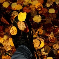 Антон Вишняков