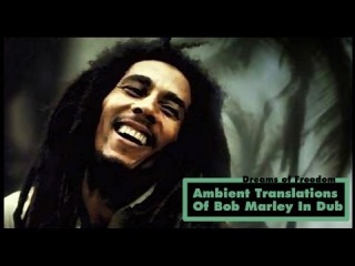 Bob Marley Full Album Mix In Dub - Bill Laswell Reaggae Remix Tribute of Songs & Hits