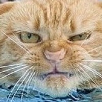 Лена Баксаляр