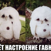 фото под настроение онлайн фото под настроение