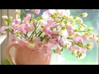 Meditation. Медитация. Релакс. Relax. relajación. meditación. Мантра. HD.