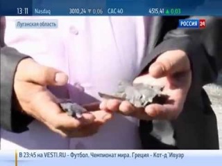 ОБСТРЕЛЯНО Приволье! УБИТА женщина! Шахта Привольнянская обесточена и на грани ЗАТОПЛЕНИЯ!Война!