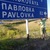 Аватар Павел Зубов