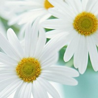 Евгения Николаевна