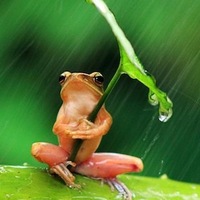 Татьяна Керут