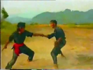 Pelajari Silat Gayong Warisan Bangsa MELAYU
