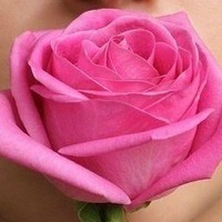 Елена Лебедева