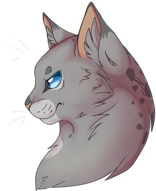 коты воители картинки искра онлайн коты воители картинки искра