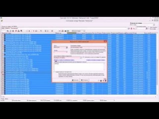 Инвентаризация. Программа учета ТоргСофт. Урок_5