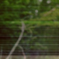 Виктория Кудинова