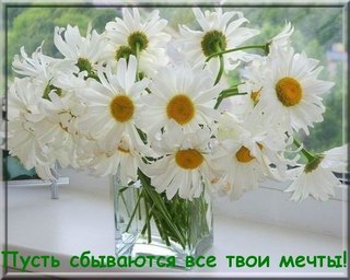 Поздравления любимого с днем рождения своими словами 81 Поздравления любимого с днем рождения своими словами 8