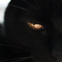 Нарине Понятовская