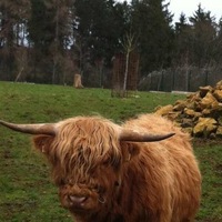 Владимир Леонидов | Казань