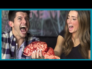 LAUREN ELIZABETH GRABS SHEEP BRAIN!