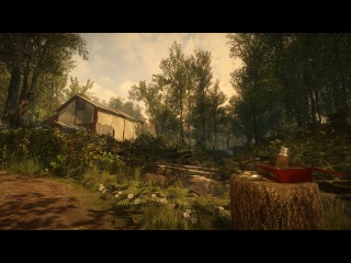 The Emotional Storytelling of Everybody's Gone to the Rapture - IGN First