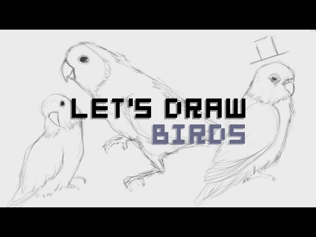 ✏ LETS DRAW | Lovebirds!