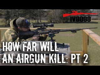 How Far Will an Air Rifle Kill? Part 2