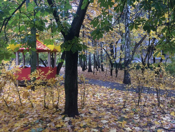 Сдаётся 2-х комнатнатная квартира с удобствами по адресу: Москва, Ул. Наро-Фоминская, д.5. Рассматриваем ТОЛЬКО СЛАВЯН. Без залога! Квартира чистая и светлая. Для проживания имеется вся необходимая мебель и бытовая техника: кухонный гарнитур, много шкафов для одежды, кровать, диван, СВЧ, холодильник, телевизор, стиральная машина. Окна выходят в тихий двор. В большой комнате балкон. Санузел совмещенный. Район Солнцево, до м.Киевская 18 мин на электричке, электричка в 2 мин ходьбы. До м.Юго-Западная 15 мин на автобусе. Рядом магазин, школа, отличное кафе, во дворе детская площадка. Рассматриваем строго славян. 30000т.р./месяц + счетчики, оплата за последний месяц (можно разбить на части). Собственник. АГЕНТСТВАМ ПРОСЬБА НЕ БЕСПОКОИТЬ!!! Оперативный показ, задавайте вопросы мне в лс, или звоните. <br>+7(906)089-90-75 Михаил <br>#сдамквартиру #снятьквартиру #москва #сдамквартирумосква#снятьквартирумосква #снимуквартирувмоскве #квартиравмоскве #сниму#сдам #квартираотсобственника #снятьжильевмоскве - фото Фото: Сдаётся 2-х комнатнатная квартира с удобствами по адресу: Москва, Ул. Наро-Фоминская, д.5. Рассматриваем ТОЛЬКО СЛАВЯН. Без залога! Квартира чистая и светлая. Для проживания имеется вся необходимая мебель и бытовая техника: кухонный гарнитур, много шкафов для одежды, кровать, диван, СВЧ, холодильник, телевизор, стиральная машина. Окна выходят в тихий двор. В большой комнате балкон. Санузел совмещенный. Район Солнцево, до м.Киевская 18 мин на электричке, электричка в 2 мин ходьбы. До м.Юго-Западная 15 мин на автобусе. Рядом магазин, школа, отличное кафе, во дворе детская площадка. Рассматриваем строго славян. 30000т.р./месяц + счетчики, оплата за последний месяц (можно разбить на части). Собственник. АГЕНТСТВАМ ПРОСЬБА НЕ БЕСПОКОИТЬ!!! Оперативный показ, задавайте вопросы мне в лс, или звоните. <br>+7(906)089-90-75 Михаил <br>#сдамквартиру #снятьквартиру #москва #сдамквартирумосква#снятьквартирумосква #снимуквартирувмоскве #квартиравмоскве #сниму#сдам #квартираотсобственника #снятьжильевмоскве
