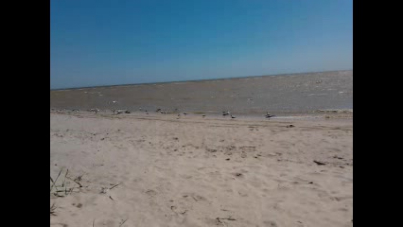 Video-2017-08-17-12-14-31