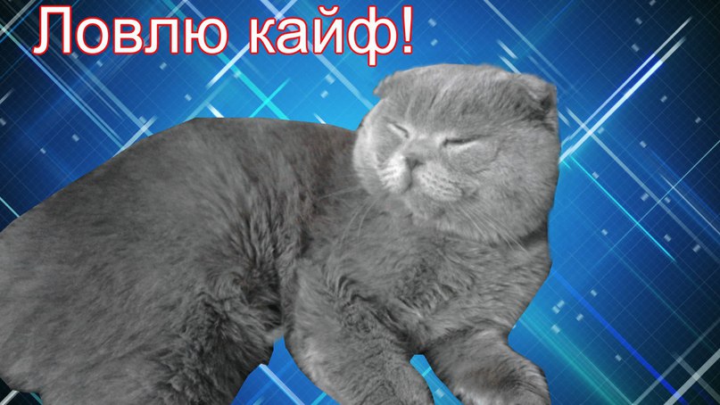 Ты лови этот кайф Ты лови этот кайф