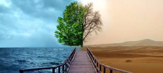 Усачёв Процессинг Игр Усачёв Процессинг Игр