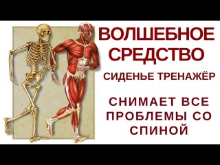 Волшебное средство Сиденье тренажёр Снимает все проблемы со спиной