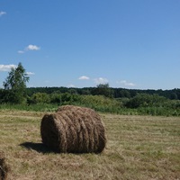 Сергей Самарин
