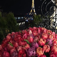 Дина Каримова