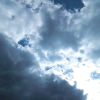 Андрей Шапкин