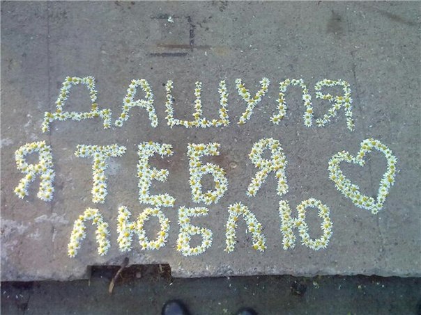 Картинка с надписью даша я тебя люблю, картинки мире