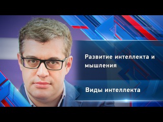 Максим Поташев. Развитие интеллекта и мышления. Виды интеллекта. СИНЕРГИЯ.