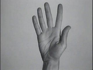 Yvonne Rainer Hand Movie