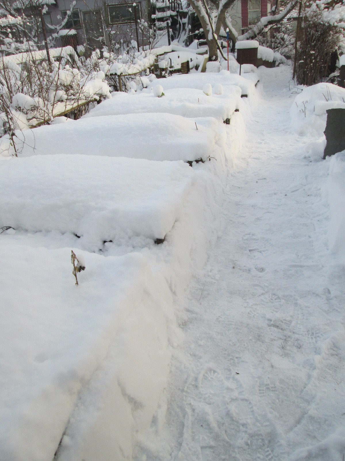 https://pp.userapi.com/c621700/v621700734/5f751/TLS83JLY31U.jpg